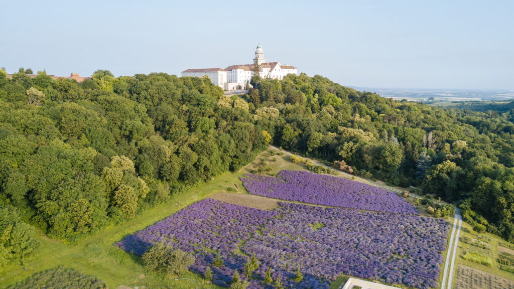 Virágmező és Pannonhalmi bazilika